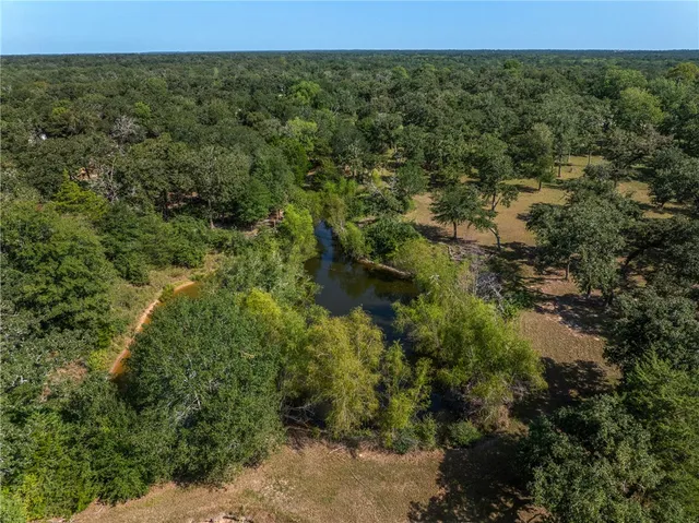 a view of a forest with a street