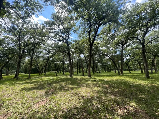 a view of a park with large trees