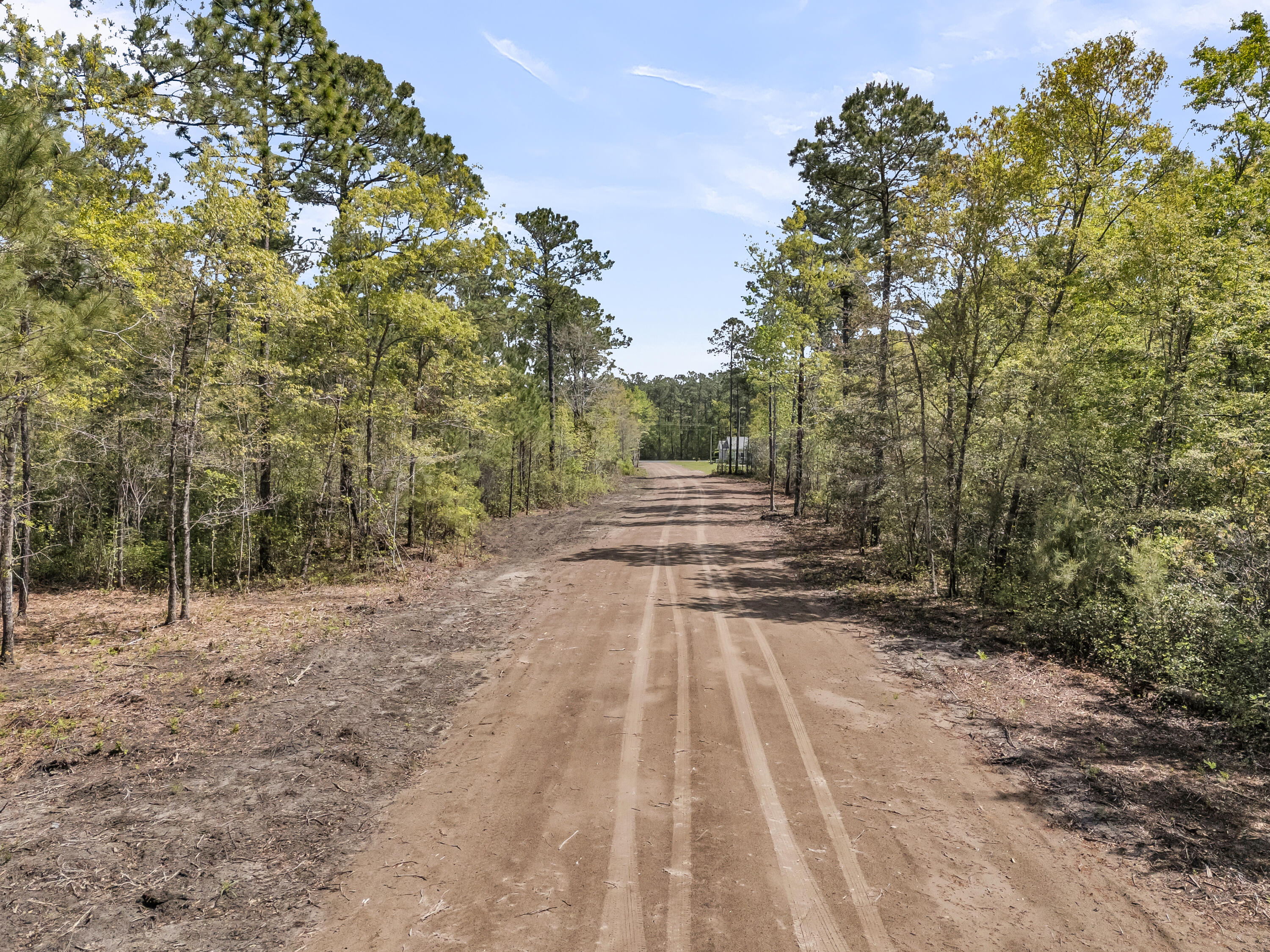 5554 Giddyup Lane Awendaw, SC 29429 - Photo 6 of 8 Road will have pee gravel