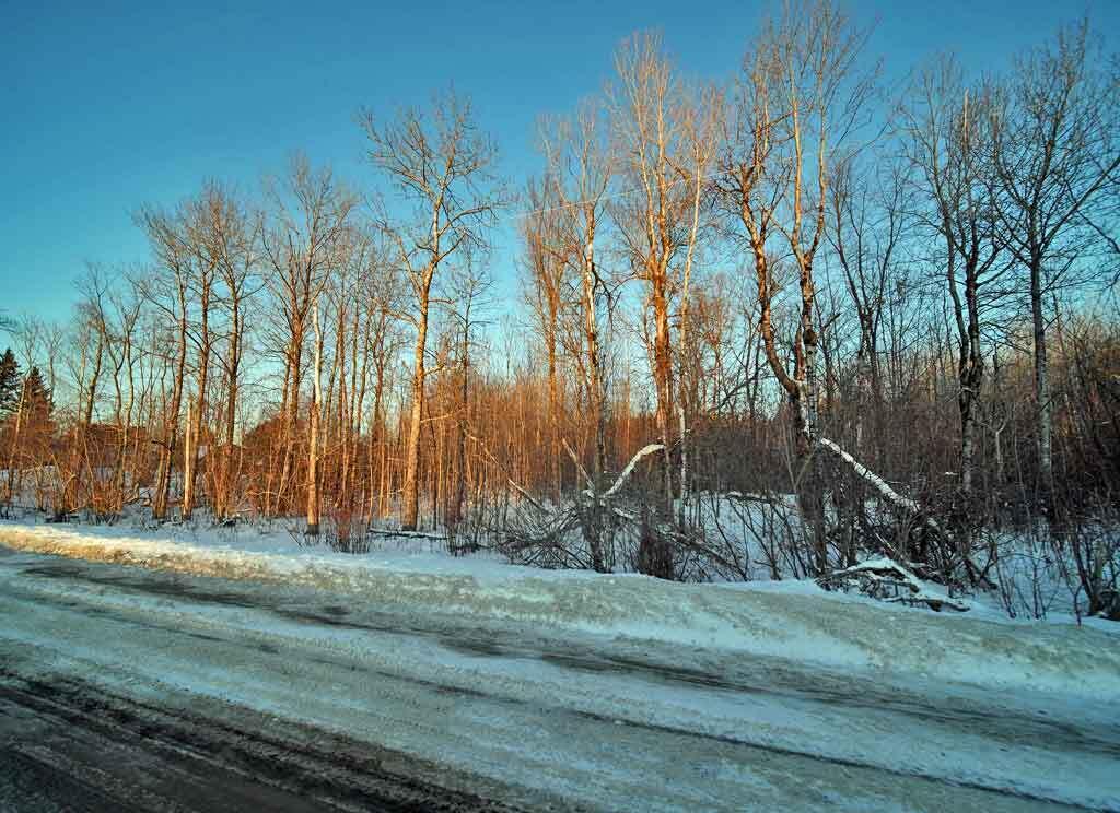 Lot 1 Belvedere Road Crystal, ME 04747 - Photo 7 of 8 land-recreation-maine