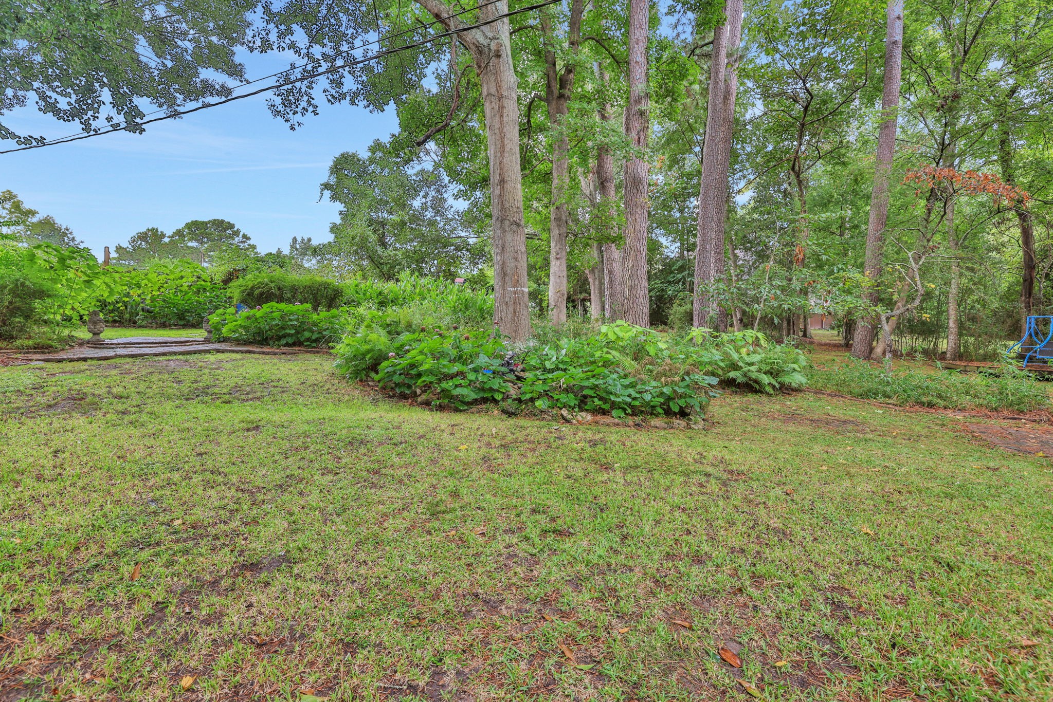 300 Timber Lane Coldspring, TX 77331 - Photo 31 of 43 a view of yard with green space
