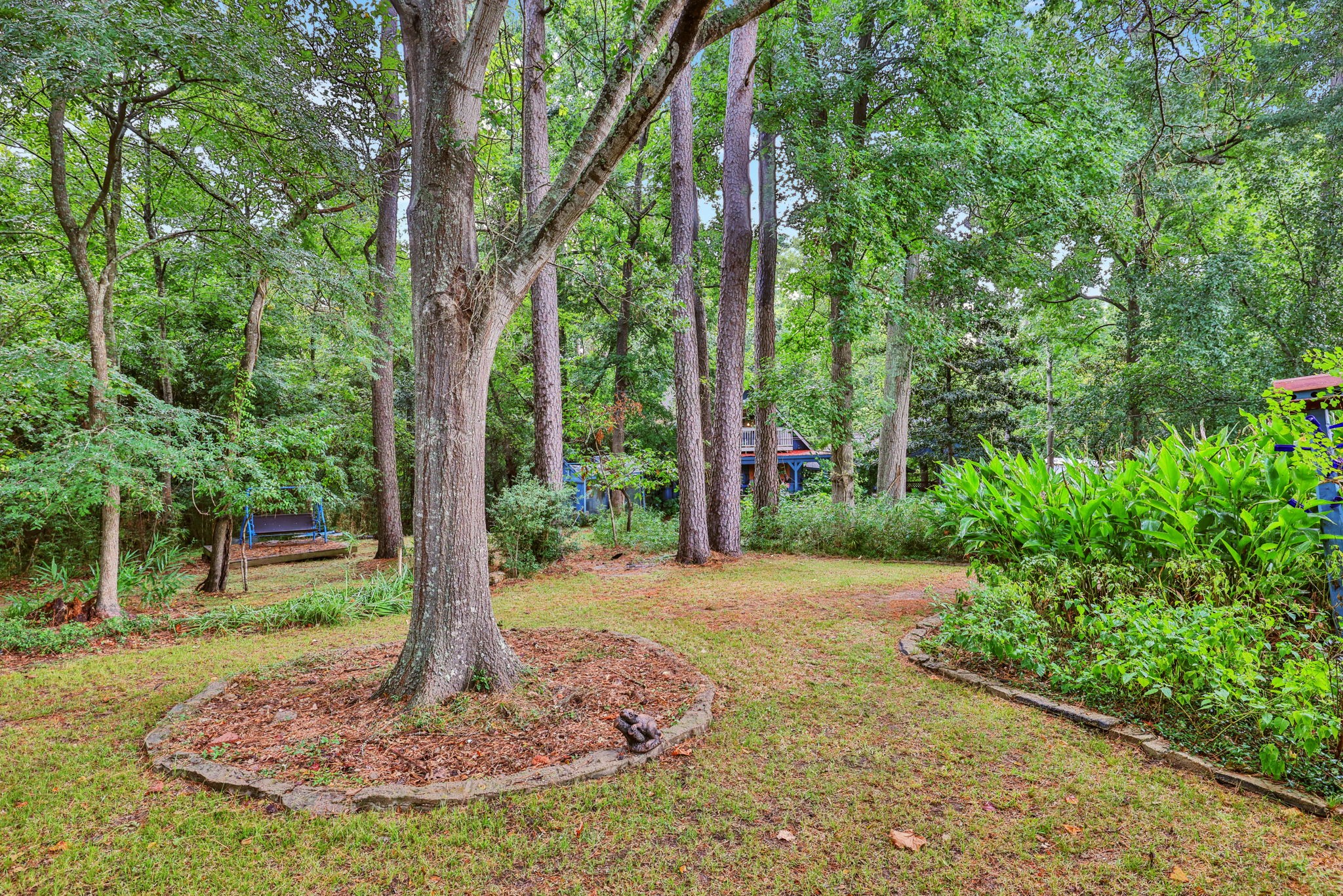 300 Timber Lane Coldspring, TX 77331 - Photo 33 of 43 a view of a tree in a yard
