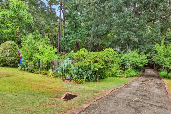 a house view with a garden space