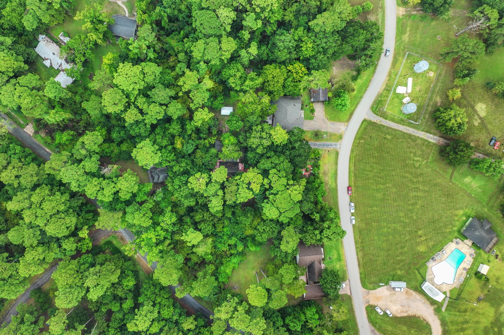 300 Timber Lane Coldspring, TX 77331 - Photo 40 of 43 a view of a garden
