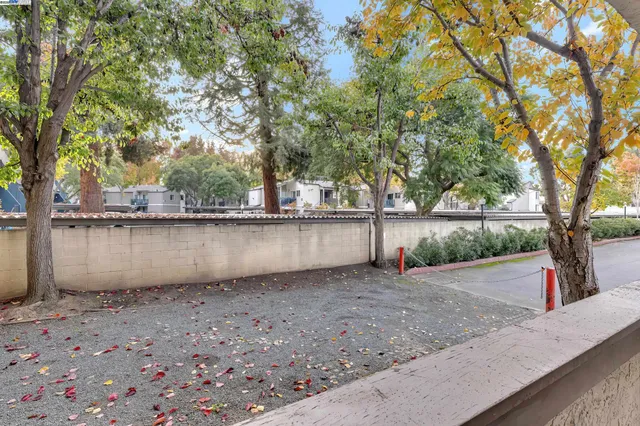 a view of a backyard