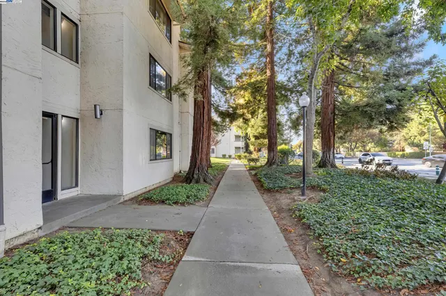 a view of a pathway with a house in the background