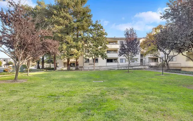 a huge green field with lots of trees