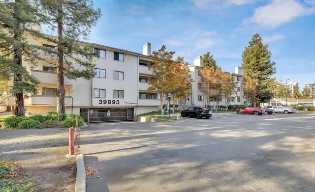 a view of a city street lined with buildings and trees