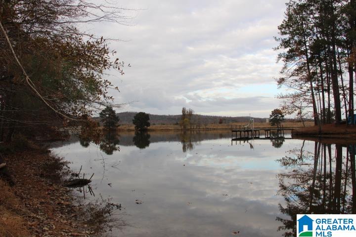 77 Rd Ohatchee, AL 36271 - Photo 11 of 24