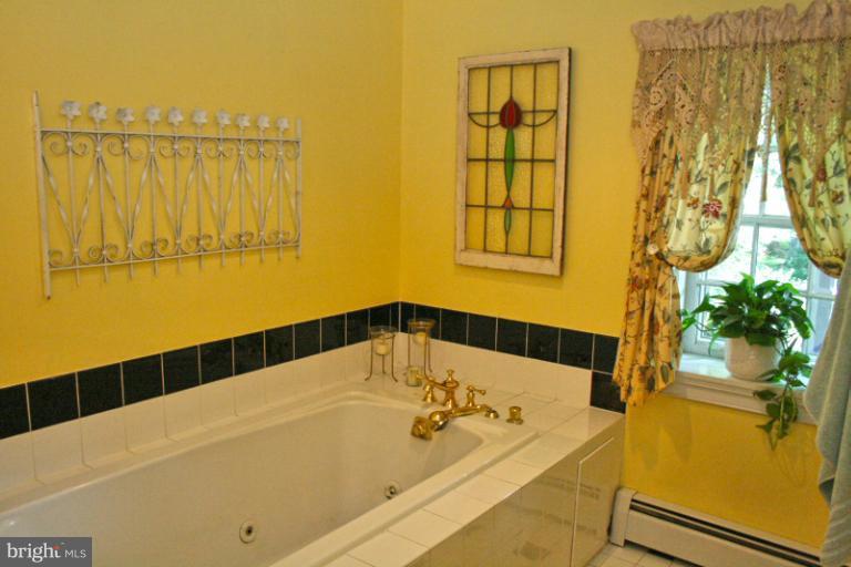 3406 Uniontown Road Westminster, MD 21158 - Photo 23 of 30 Bath (Master)