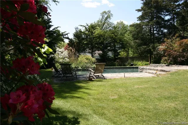 a view of a swimming pool with a bench and trees around