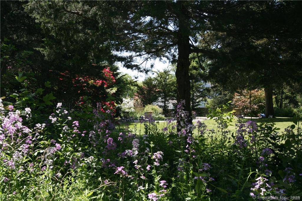 56 Island Avenue Madison, CT 06443 - Photo 21 of 25 a view of a tree