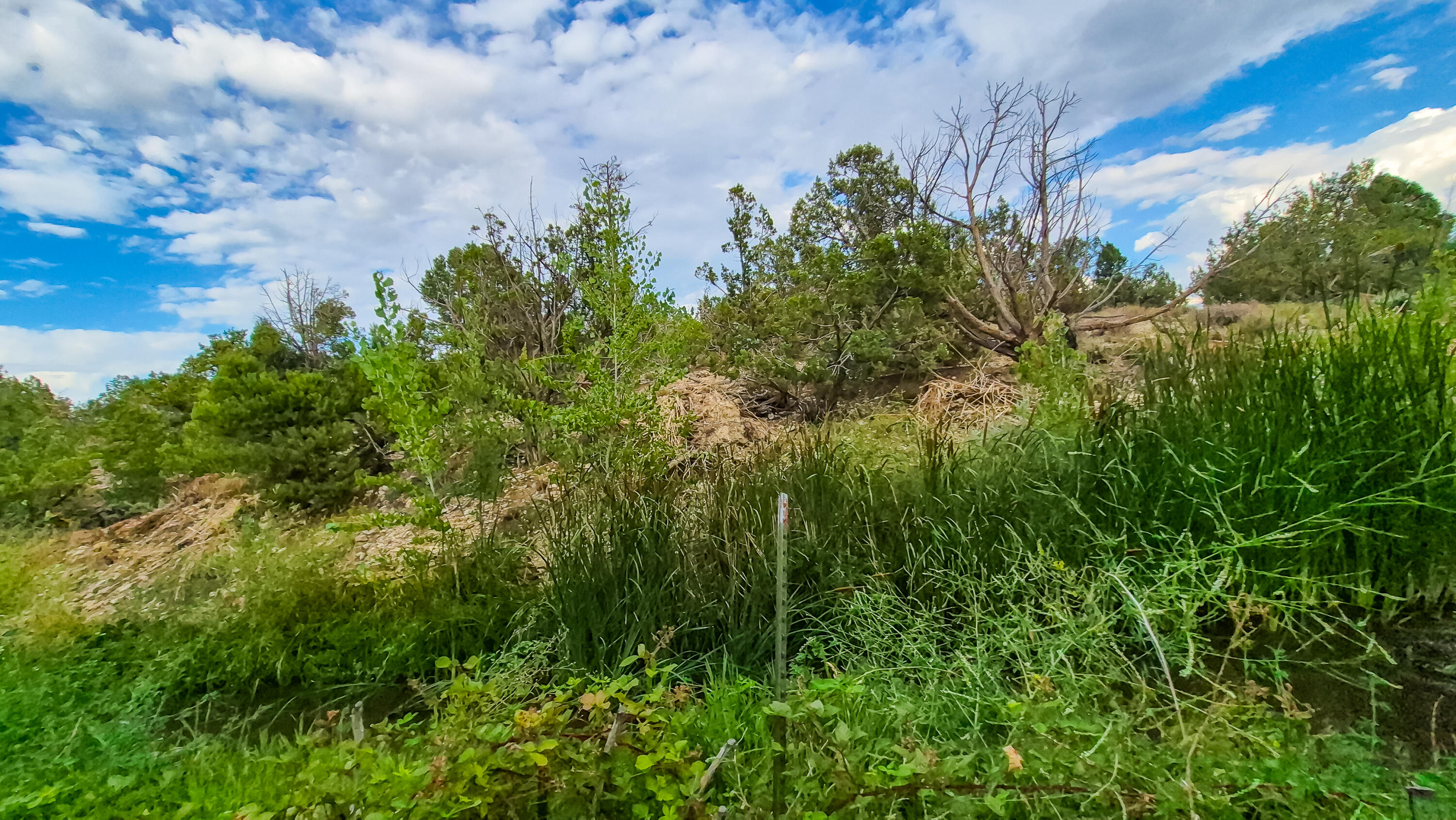 East Veyo Resort Road, Unit 7158B1NW Veyo, UT 84782 - Photo 5 of 18 20260722_190444