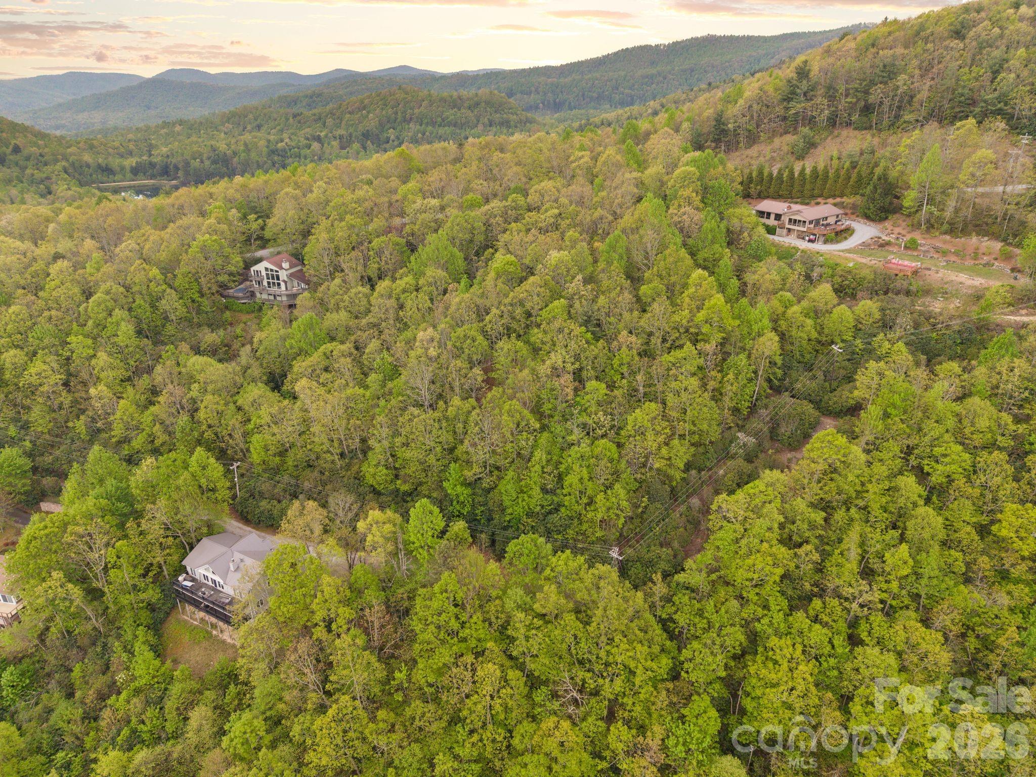 Tbd Pinnacle Mountain Road Zirconia, NC 28790 - Photo 2 of 13 a view of lake with mountain