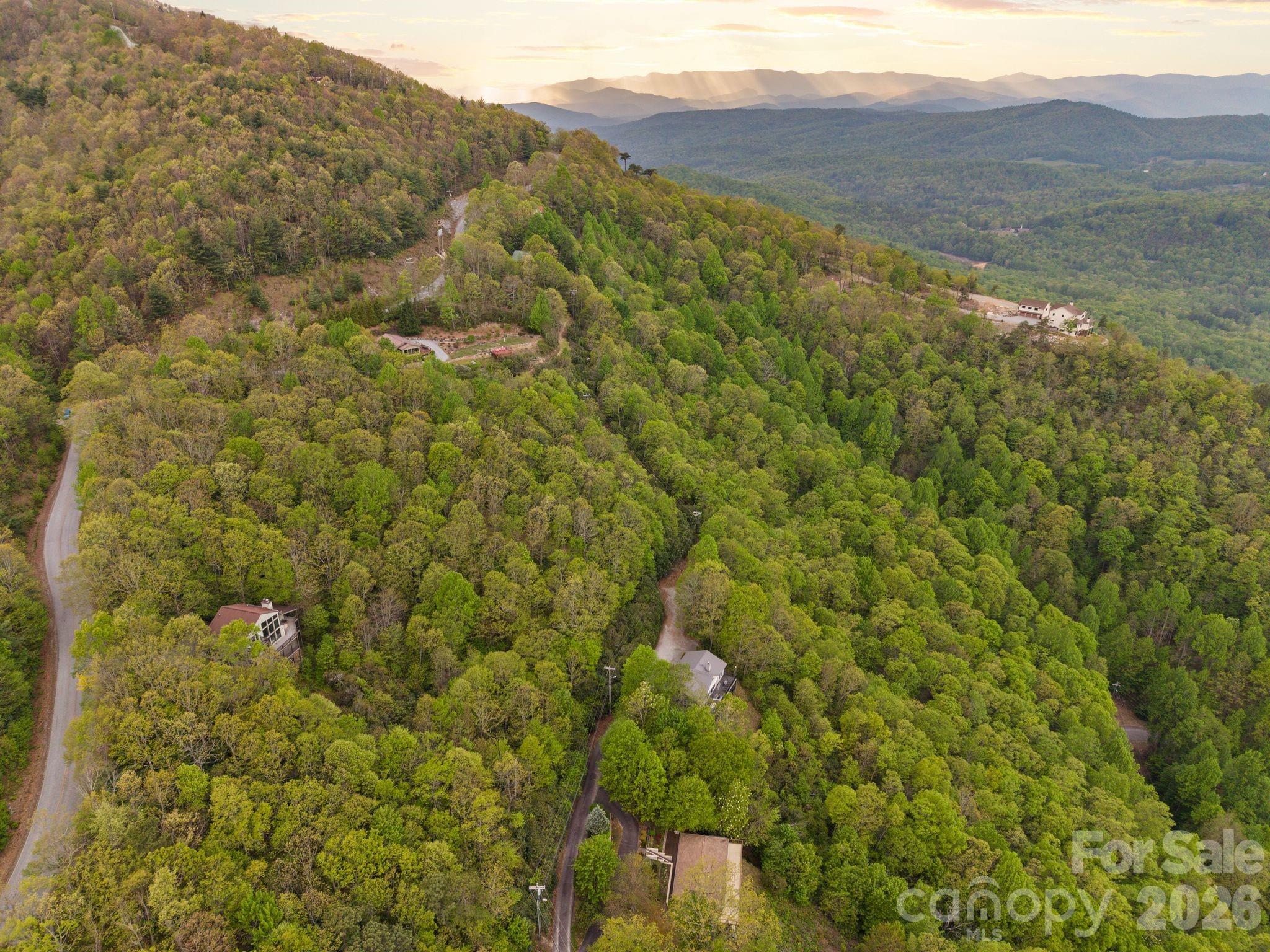 Tbd Pinnacle Mountain Road Zirconia, NC 28790 - Photo 6 of 13 a view of a houses with a lush green hillside
