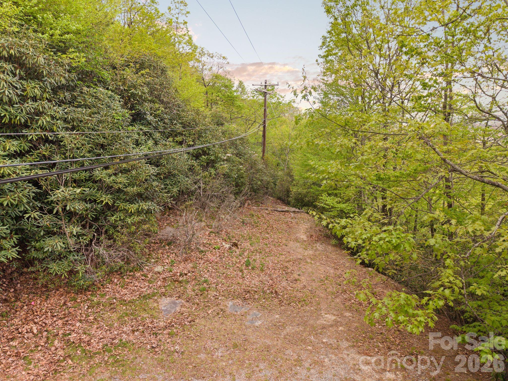 Tbd Pinnacle Mountain Road Zirconia, NC 28790 - Photo 7 of 13 a view of a pathway both side of yard