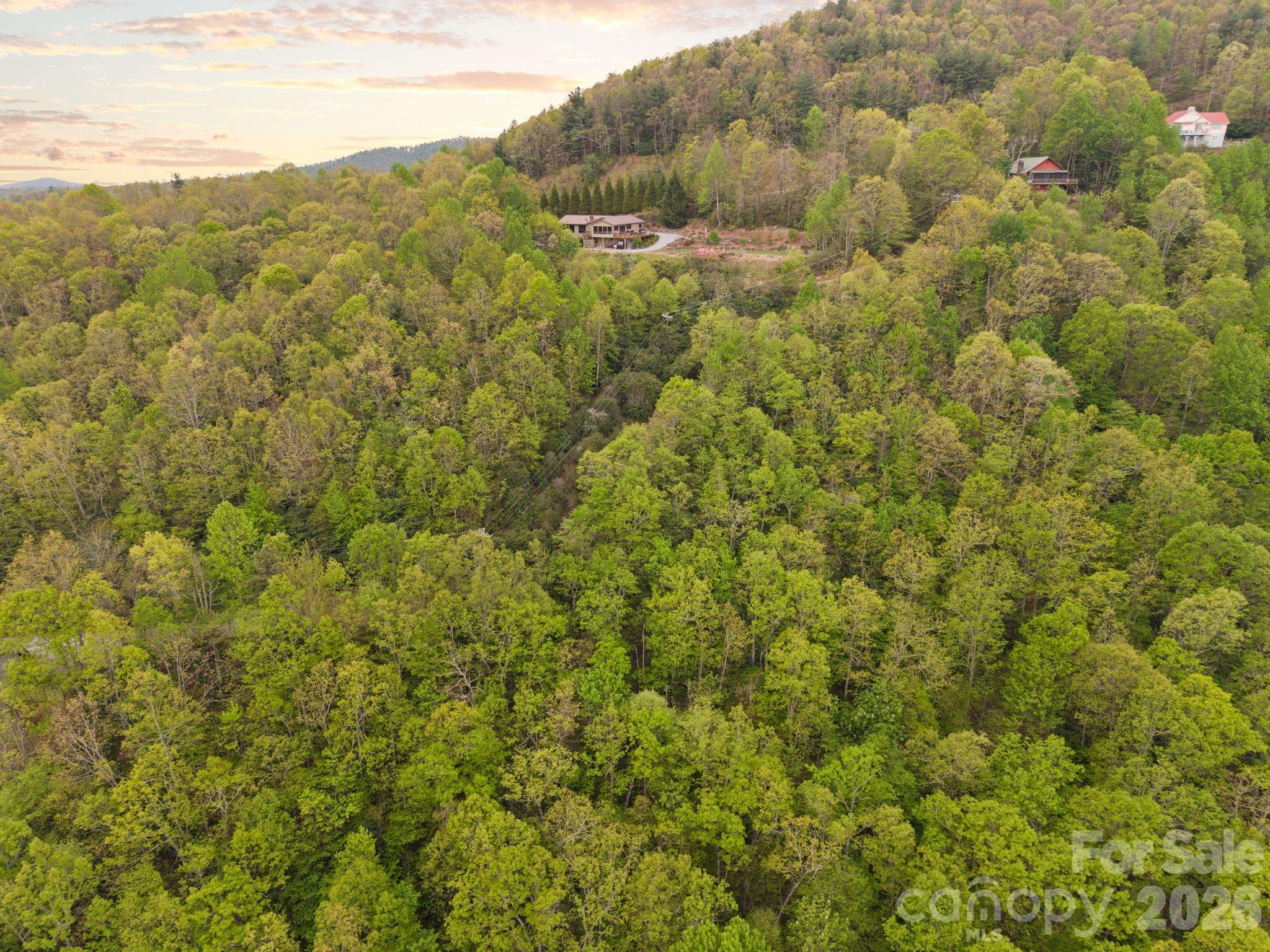 Tbd Pinnacle Mountain Road Zirconia, NC 28790 - Photo 10 of 13 a view of a green field