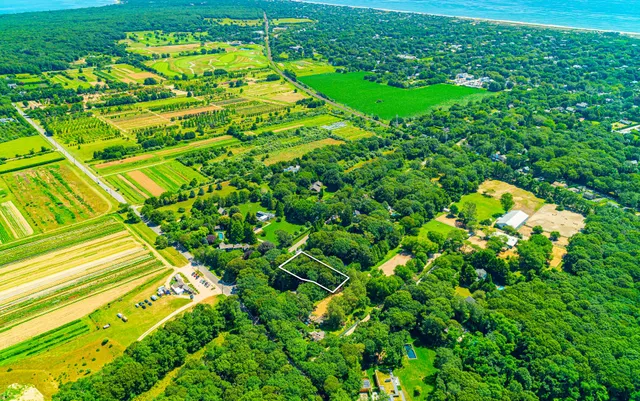 a view of a large garden with a building