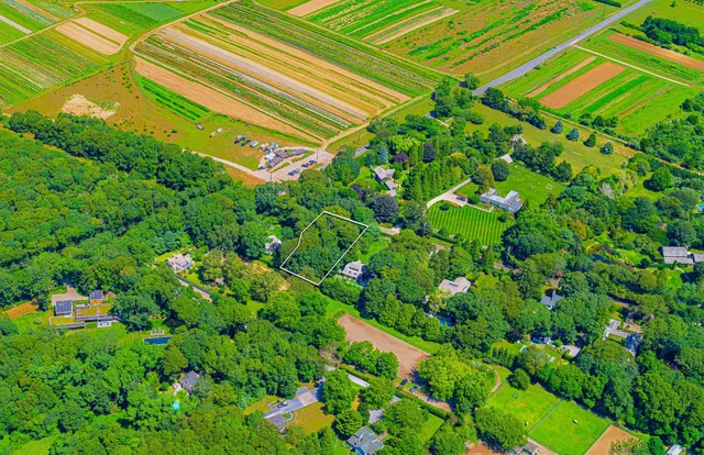 a view of a yard with plants