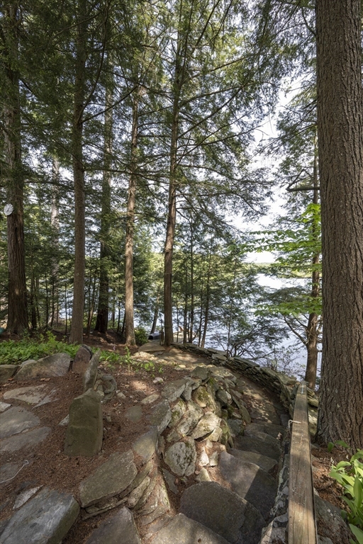 33 Farmhouse Road Chesterfield, MA 01012 - Photo 5 of 41 a view of a forest with trees