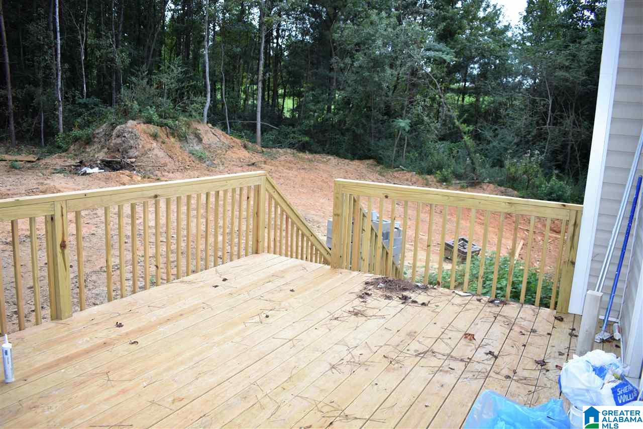 10003 Mize Road Remlap, AL 35133 - Photo 8 of 19