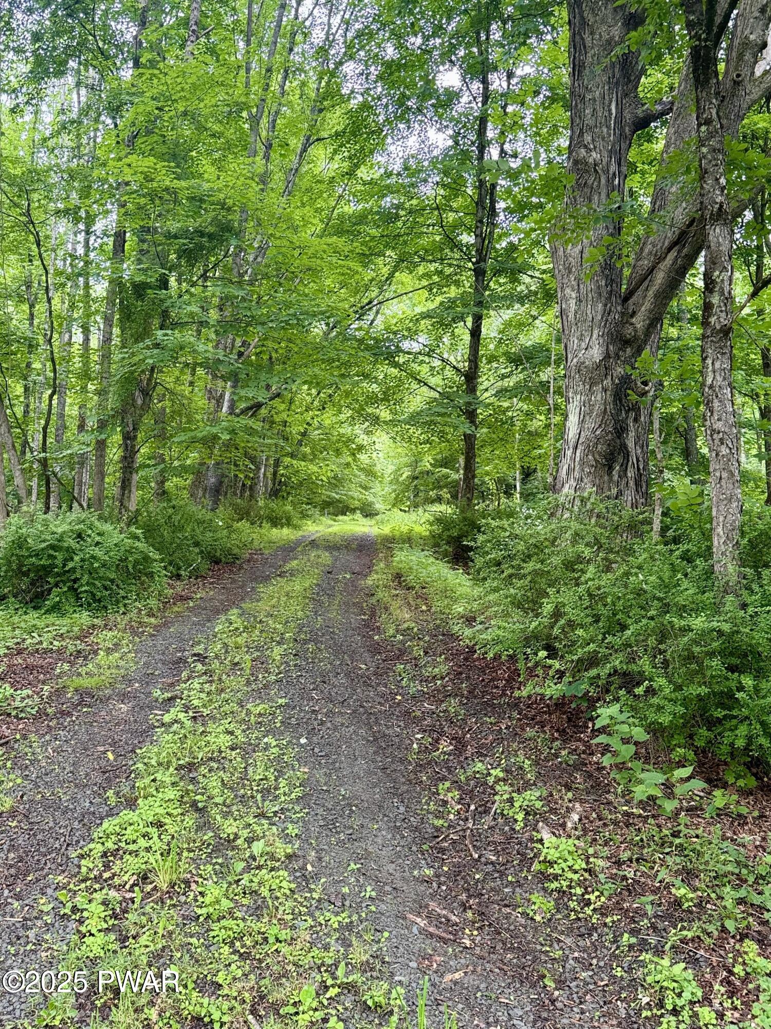 424 Old Union Road Equinunk, PA 18417 - Photo 21 of 22 private driveway