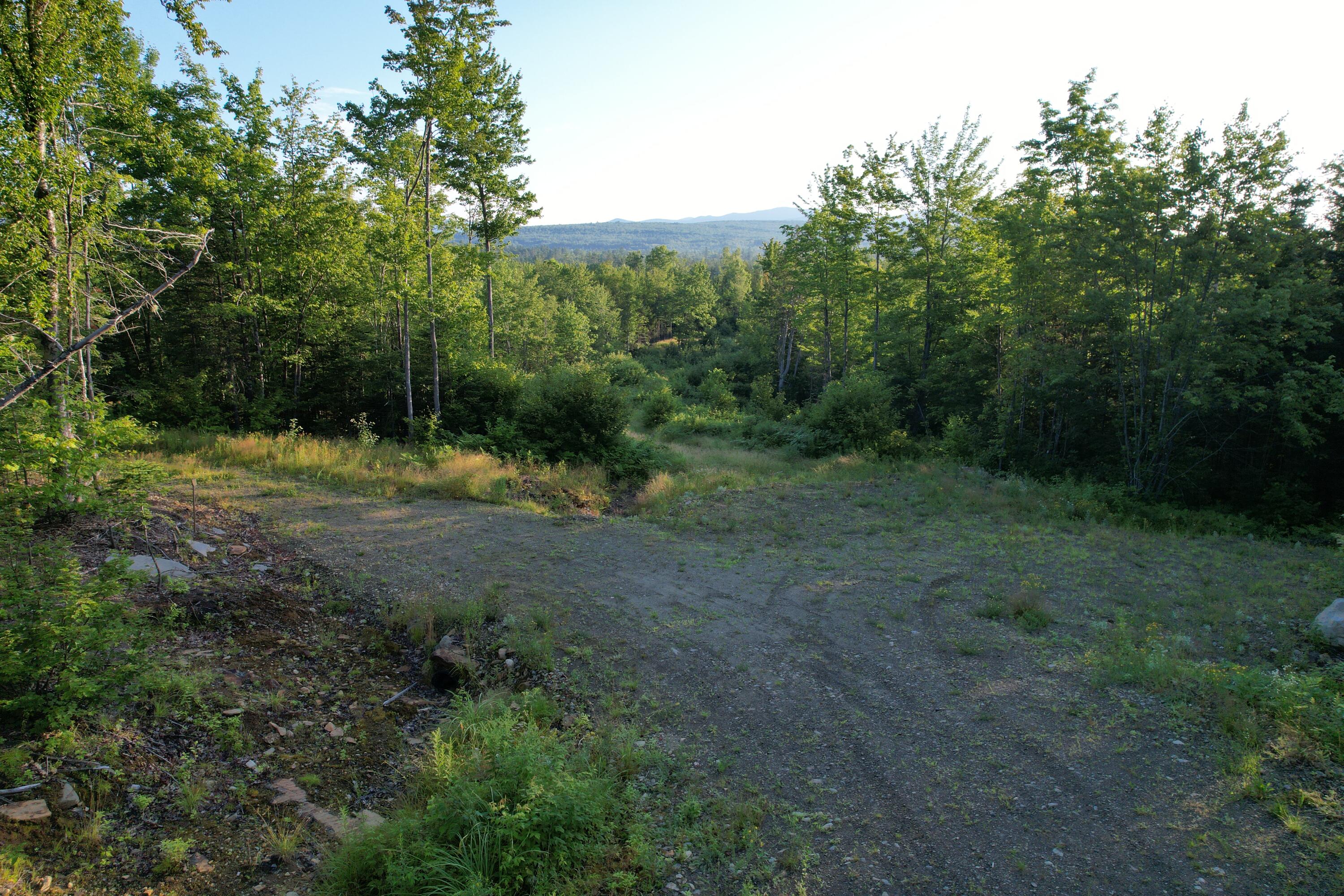 Lot #4 Woods Road Phillips, ME 04966 - Photo 10 of 27