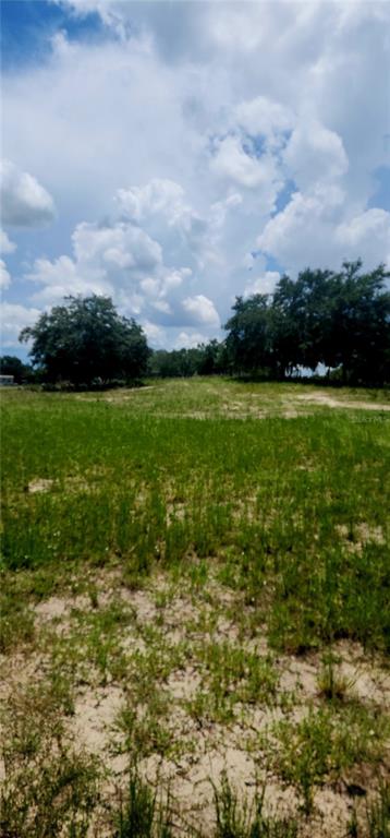 562 Libby Road Babson Park, FL 33827 - Photo 22 of 42