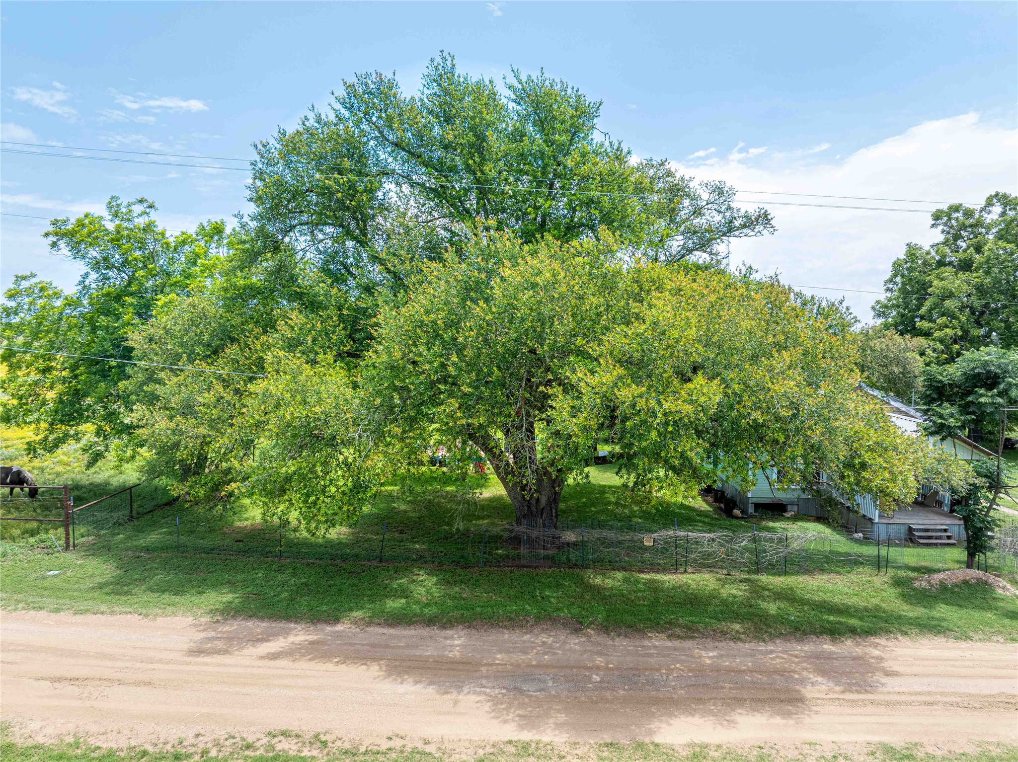 802 Smith Road Rockdale, TX 76567 - Photo 18 of 28