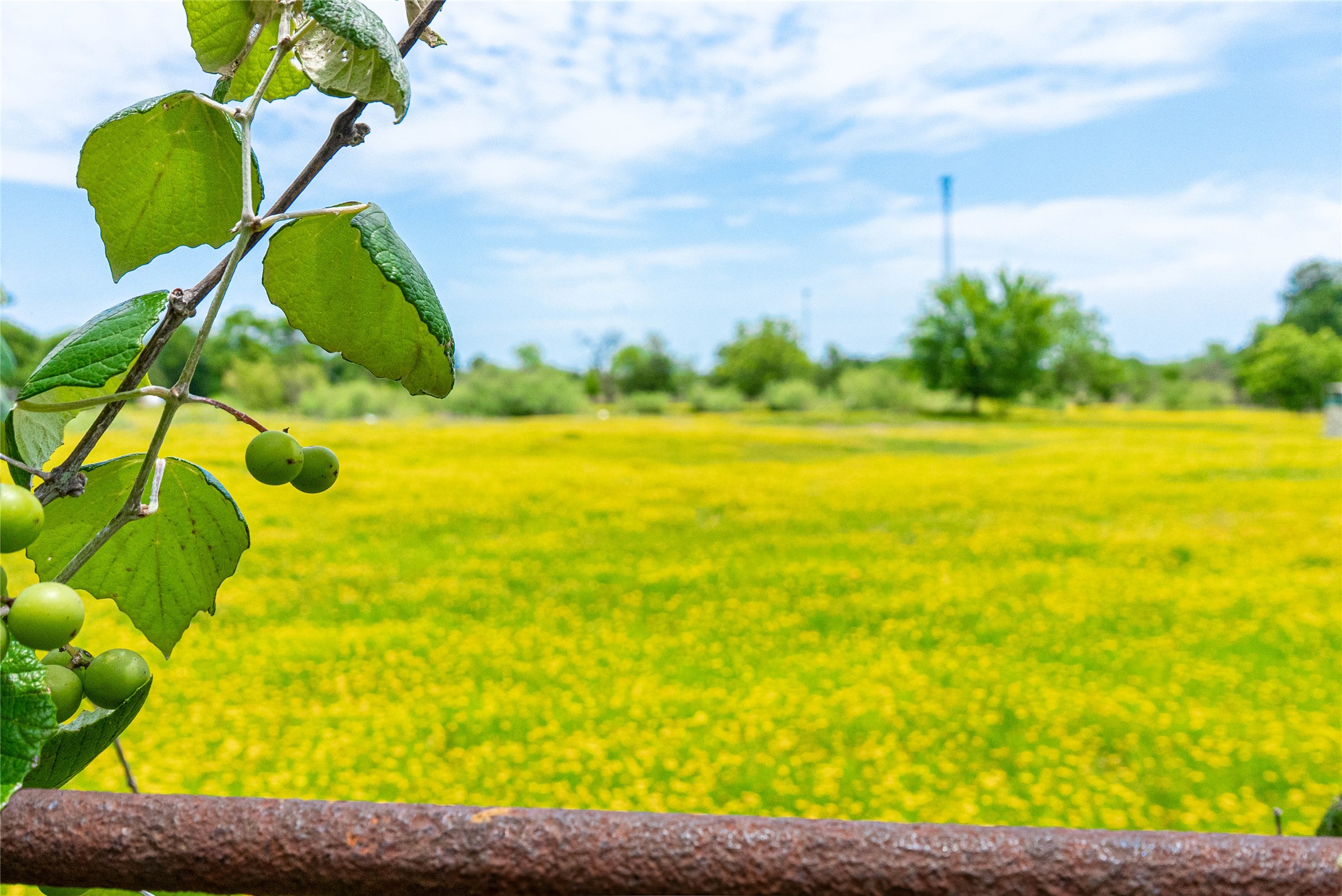 802 Smith Road Rockdale, TX 76567 - Photo 19 of 28