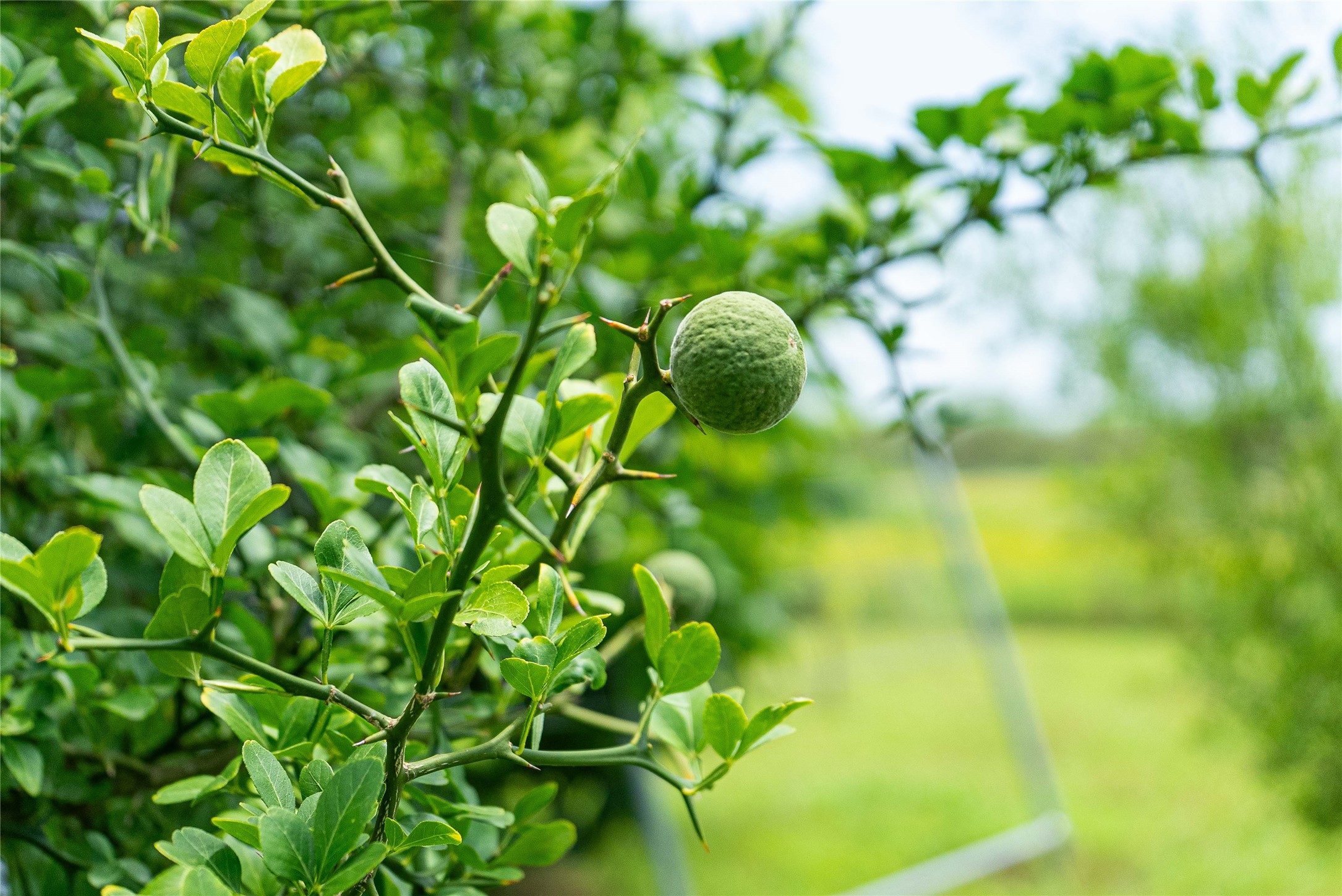 802 Smith Road Rockdale, TX 76567 - Photo 20 of 28