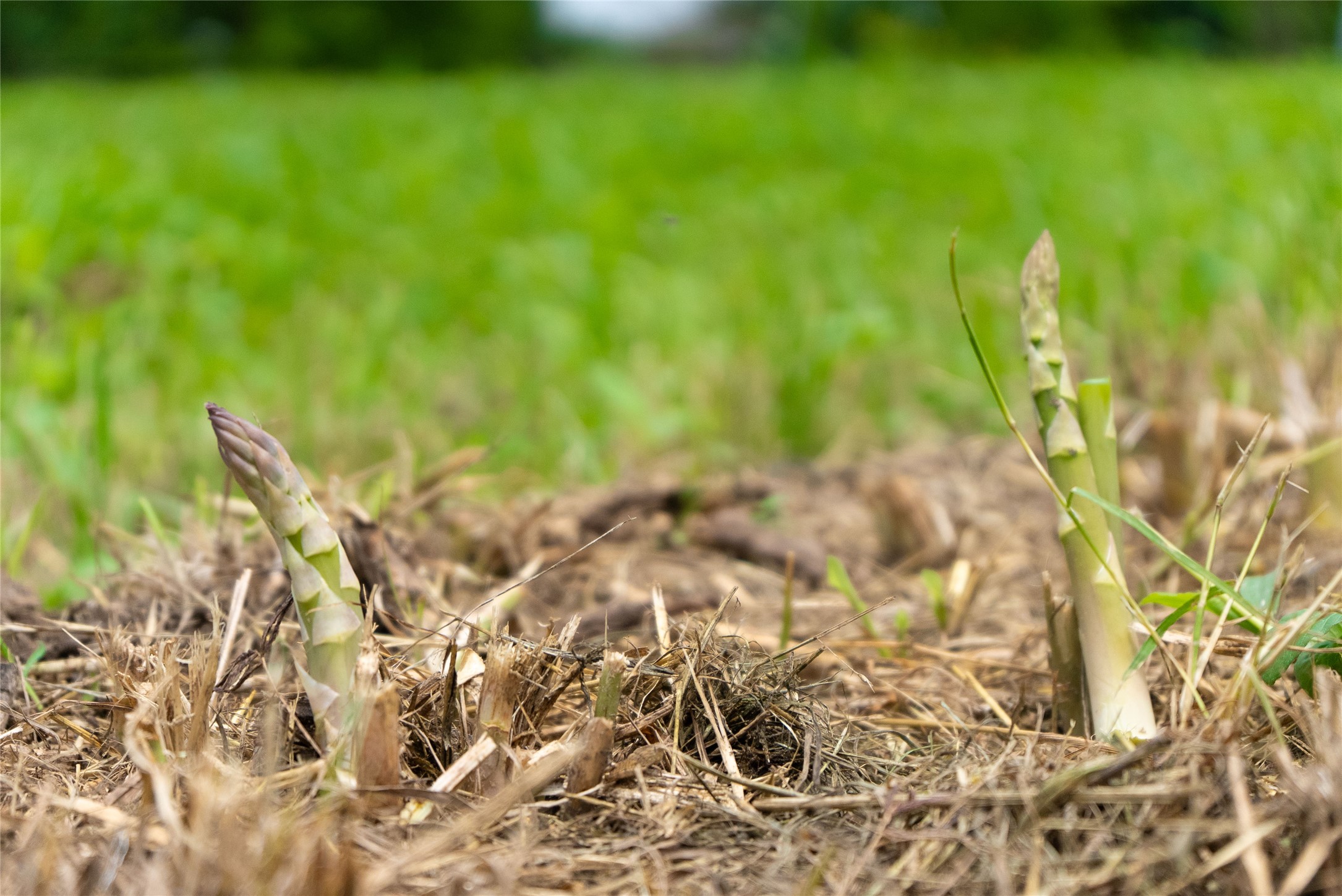 802 Smith Road Rockdale, TX 76567 - Photo 21 of 28