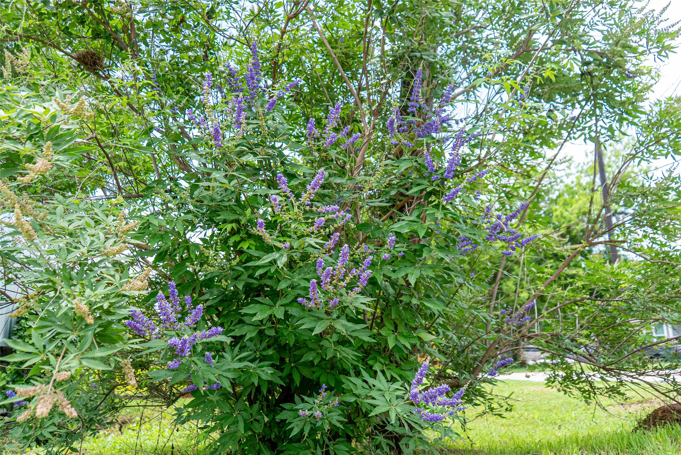 802 Smith Road Rockdale, TX 76567 - Photo 22 of 28