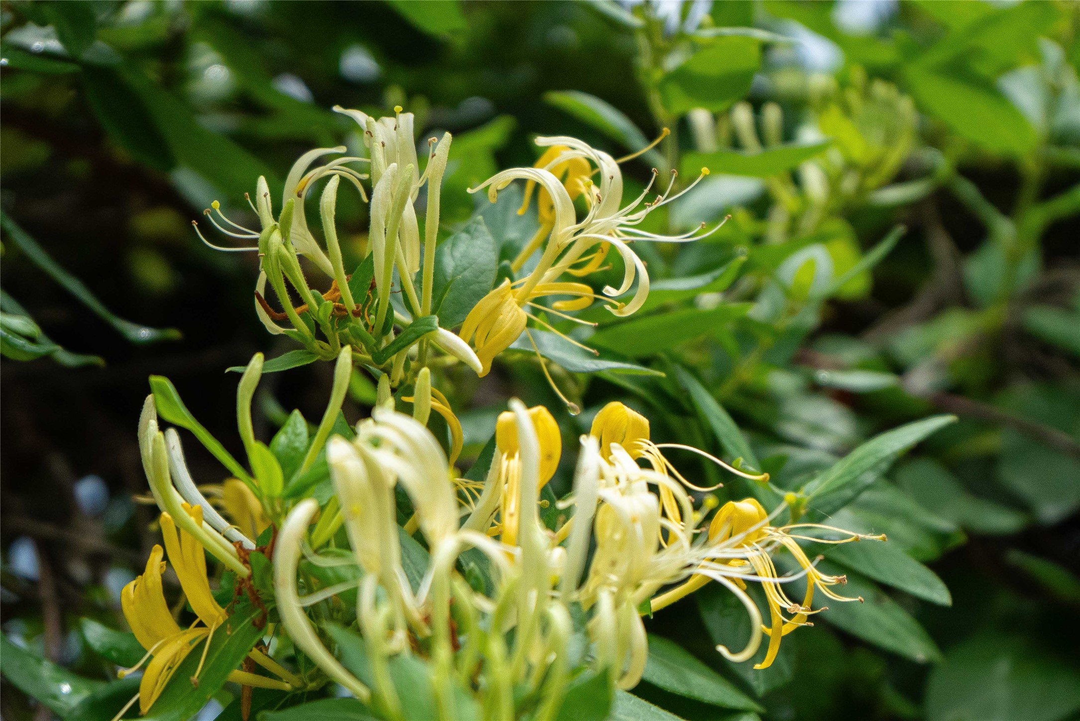 802 Smith Road Rockdale, TX 76567 - Photo 23 of 28