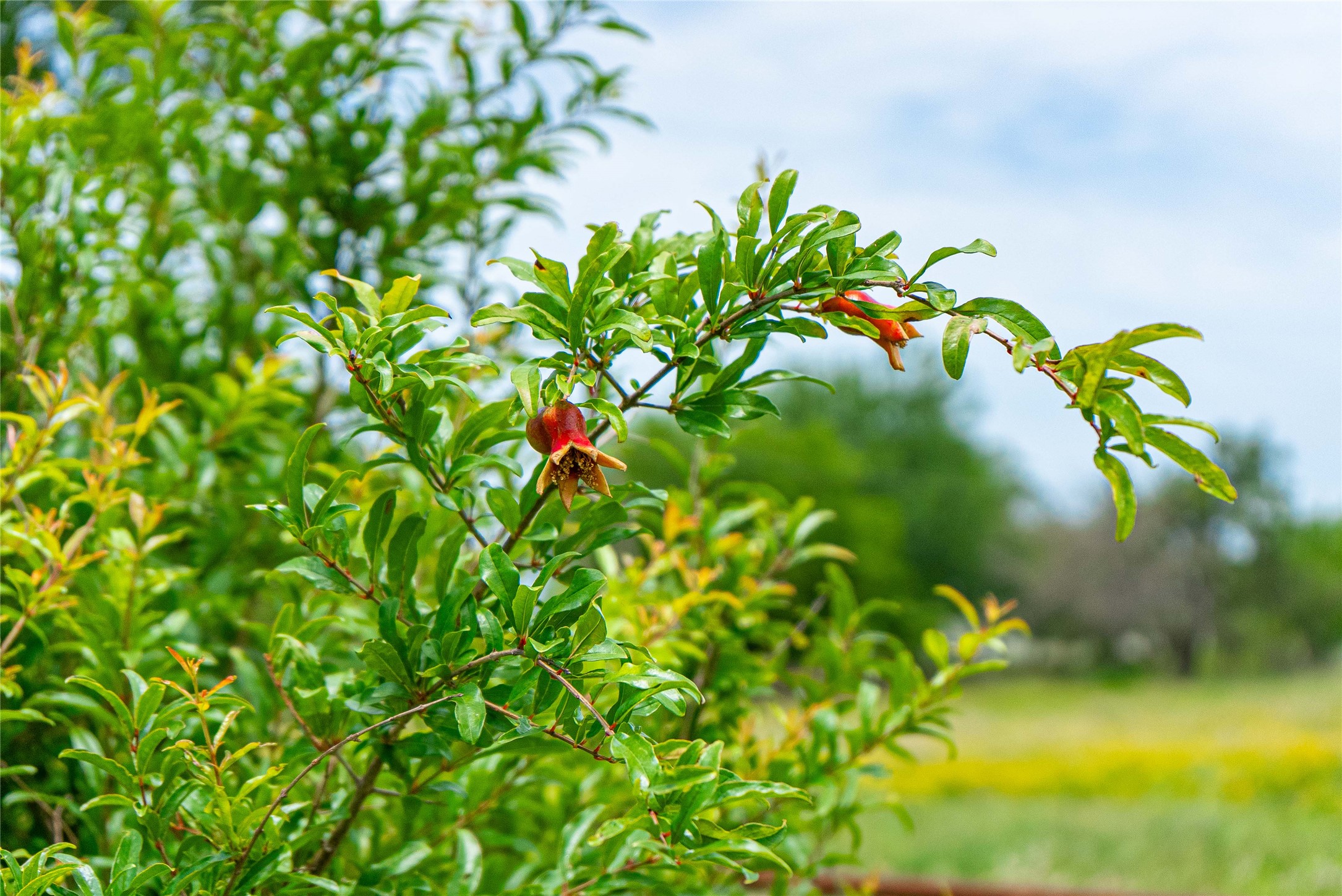802 Smith Road Rockdale, TX 76567 - Photo 25 of 28