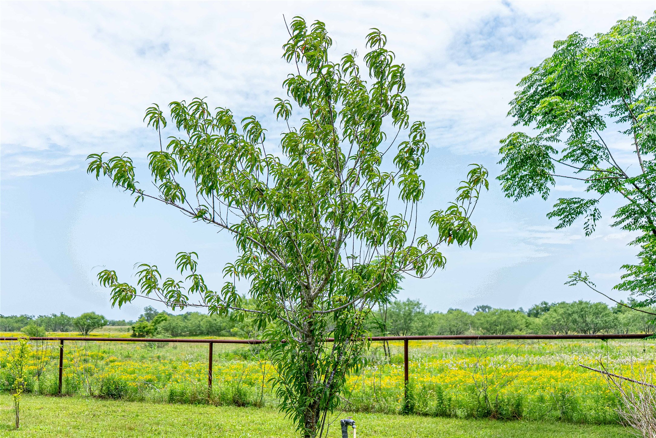 802 Smith Road Rockdale, TX 76567 - Photo 26 of 28