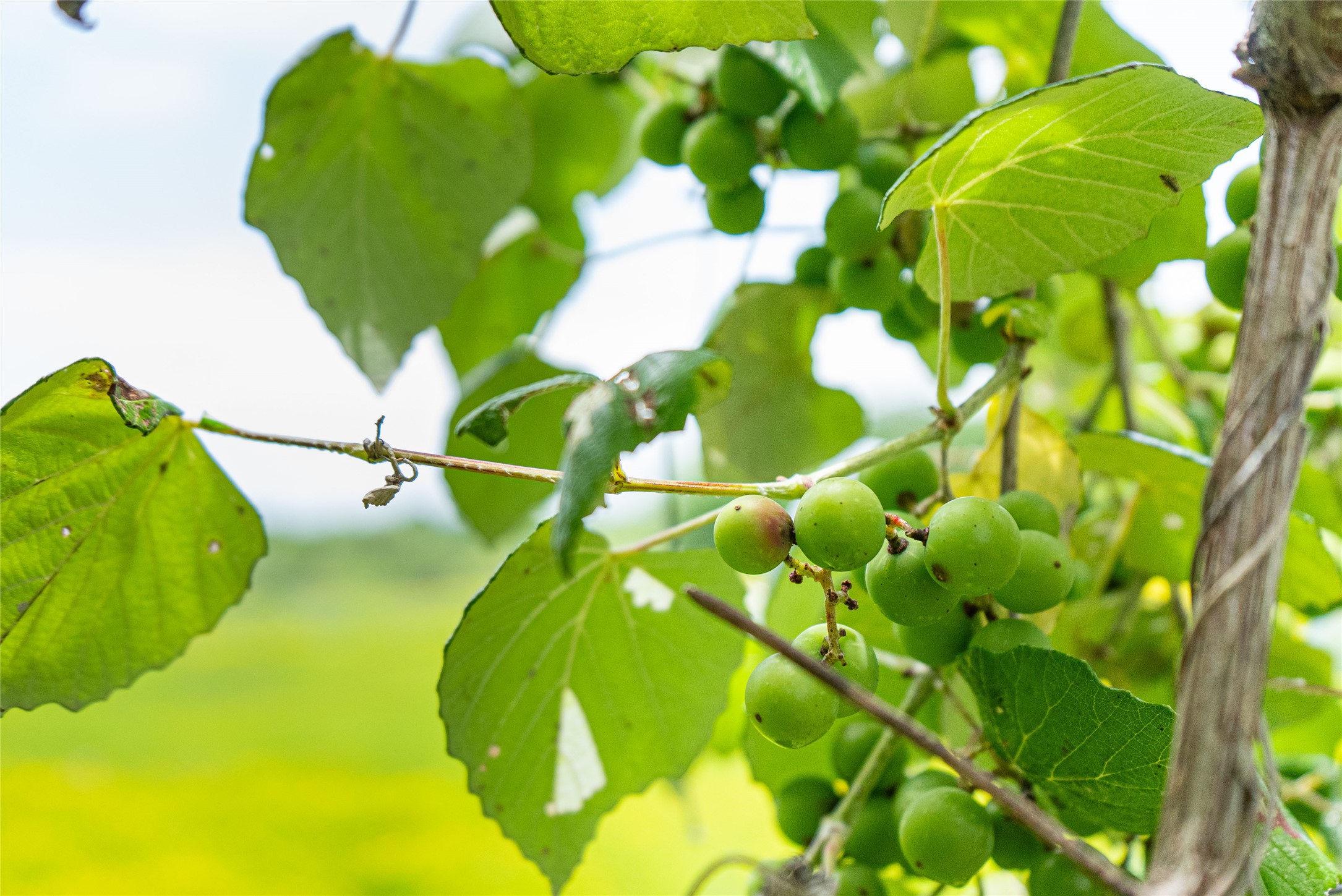 802 Smith Road Rockdale, TX 76567 - Photo 27 of 28