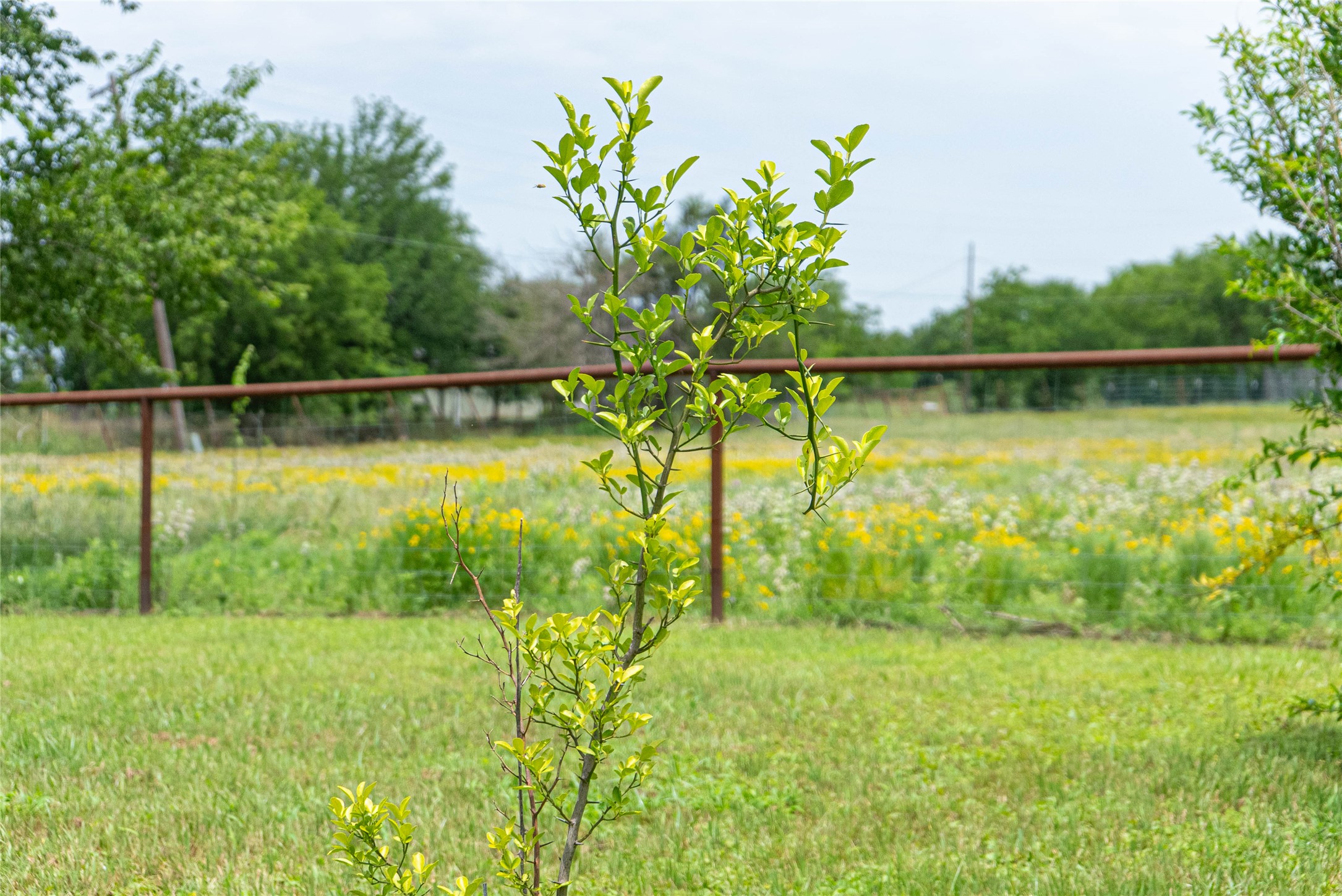 802 Smith Road Rockdale, TX 76567 - Photo 28 of 28