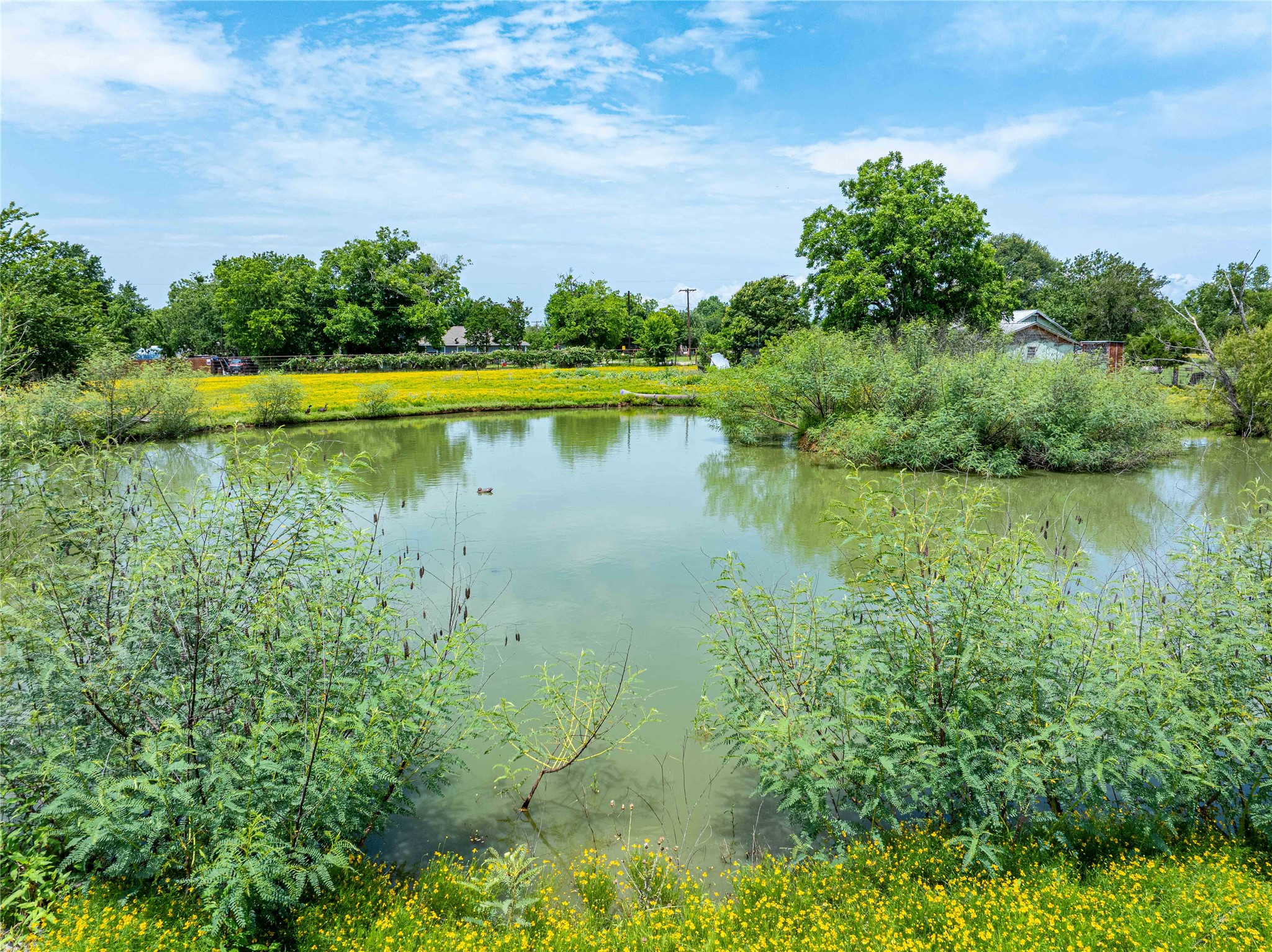 802 Smith Road Rockdale, TX 76567 - Photo 4 of 28