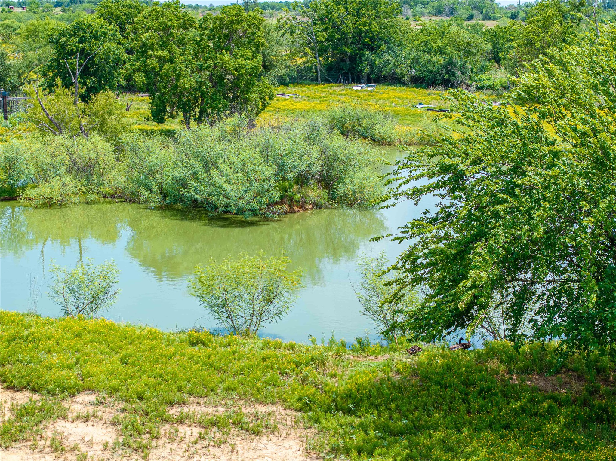 802 Smith Road Rockdale, TX 76567 - Photo 5 of 28