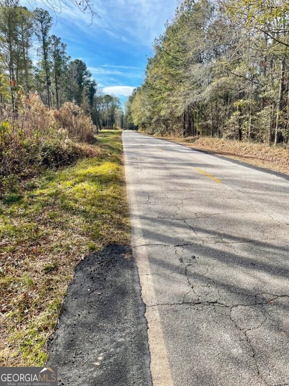 0 Zebulon Road Milner, GA 30257 - Photo 2 of 2