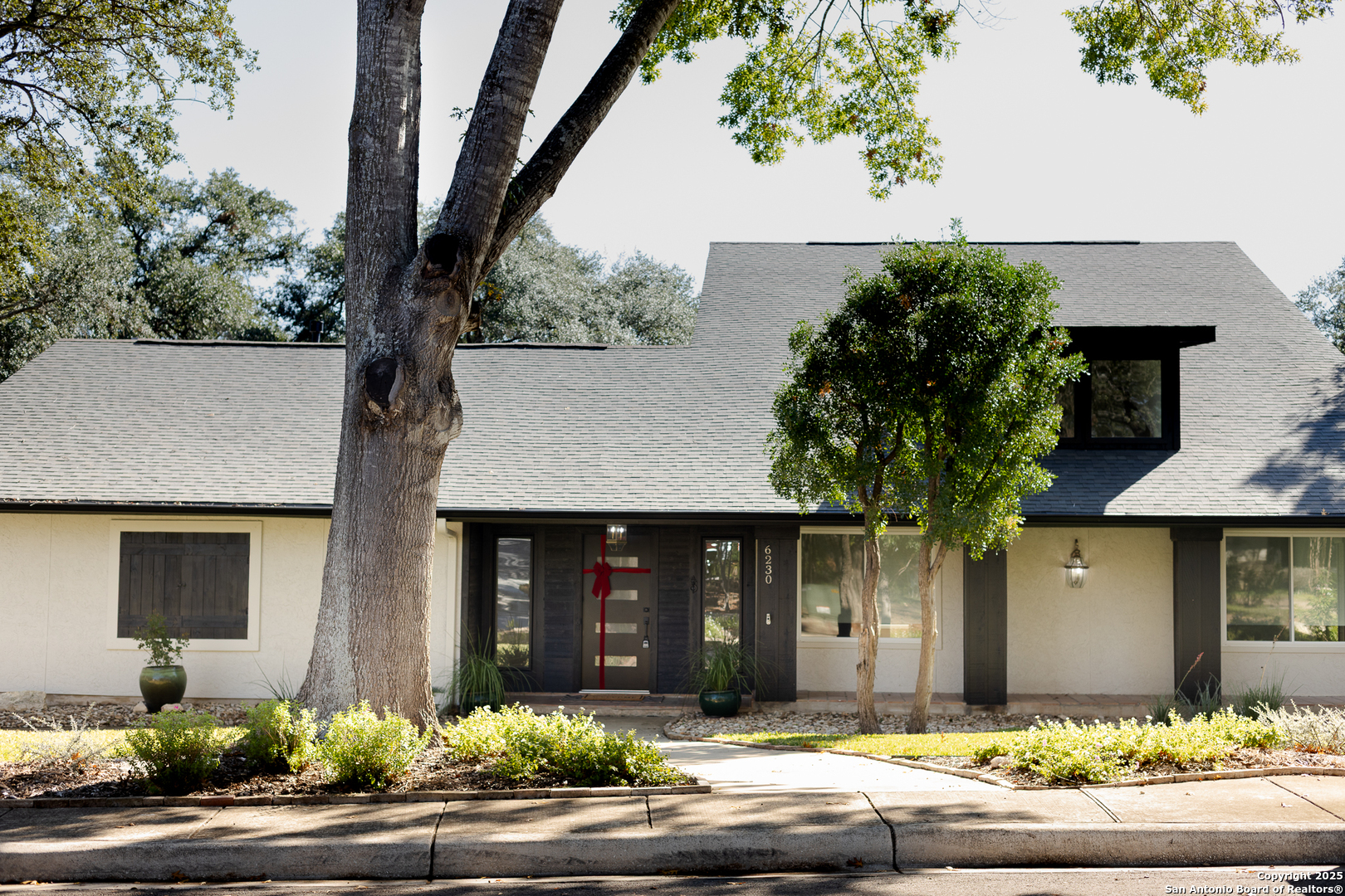 front view of a house with a tree in front