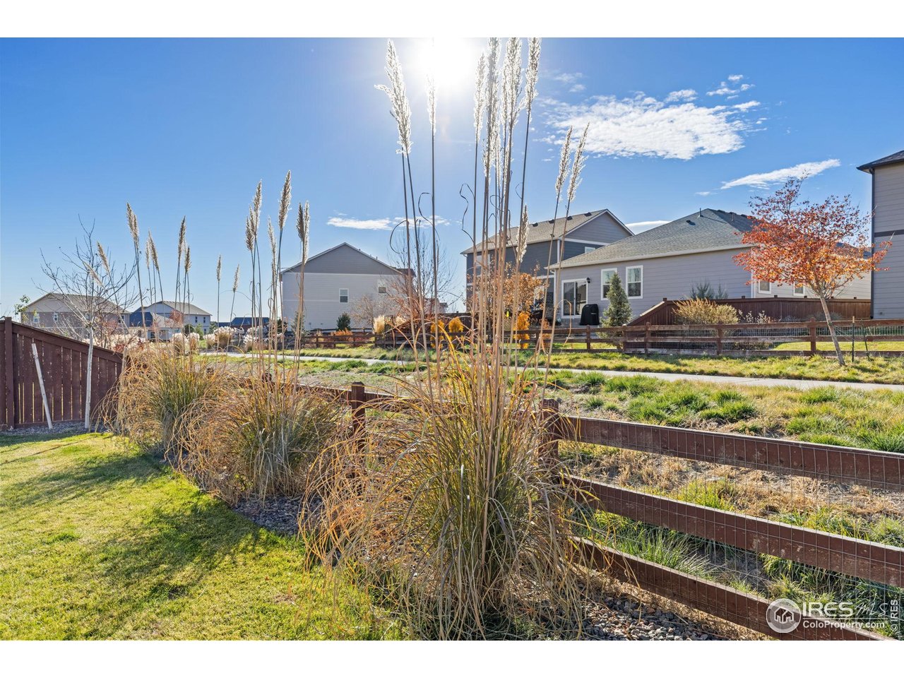 212 Swallow Road Johnstown, CO 80534 - Photo 2 of 32 Peaceful, open spaces out back!