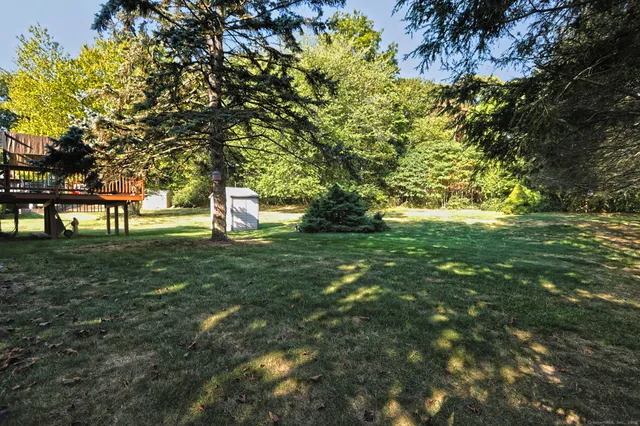 a green field with lots of trees
