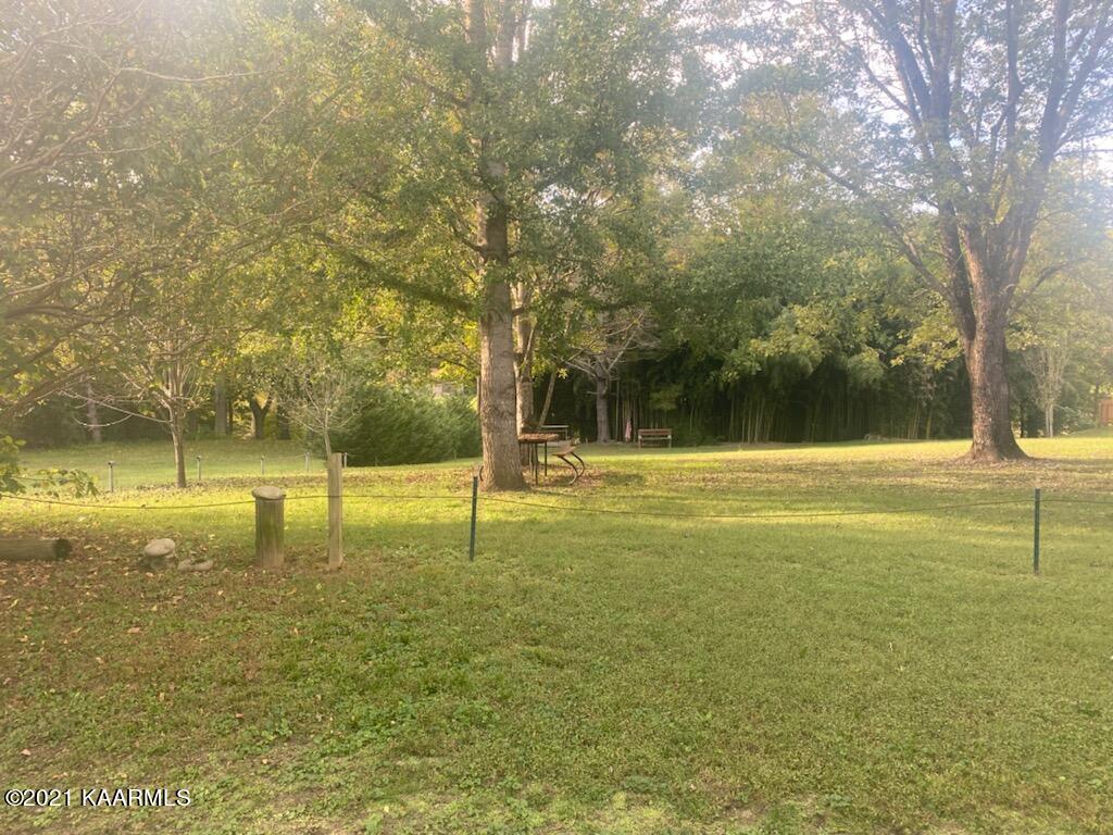 Lot 3 Riverview Road Townsend, TN 37882 - Photo 3 of 5 IMG_1028