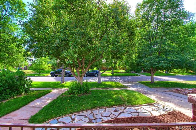 a view of a park with large trees