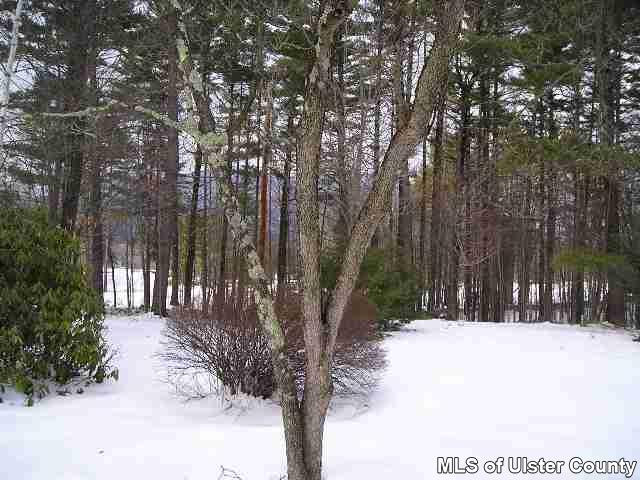 47 West Hurley Road, Unit ROUTE 375 Woodstock, NY 12498 - Photo 3 of 4 Photo 4