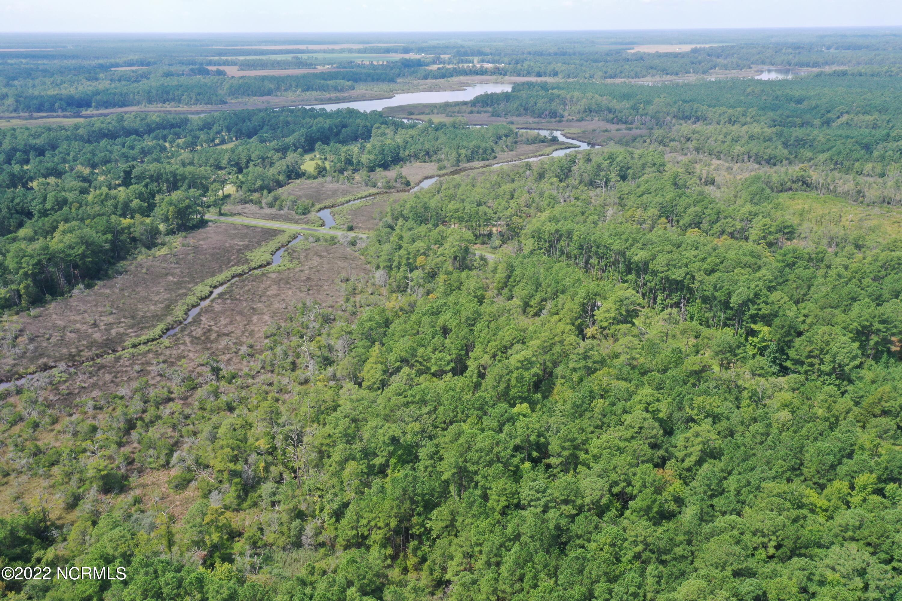 Off Florence Road Merritt, NC 28556 - Photo 7 of 13 DJI_0709