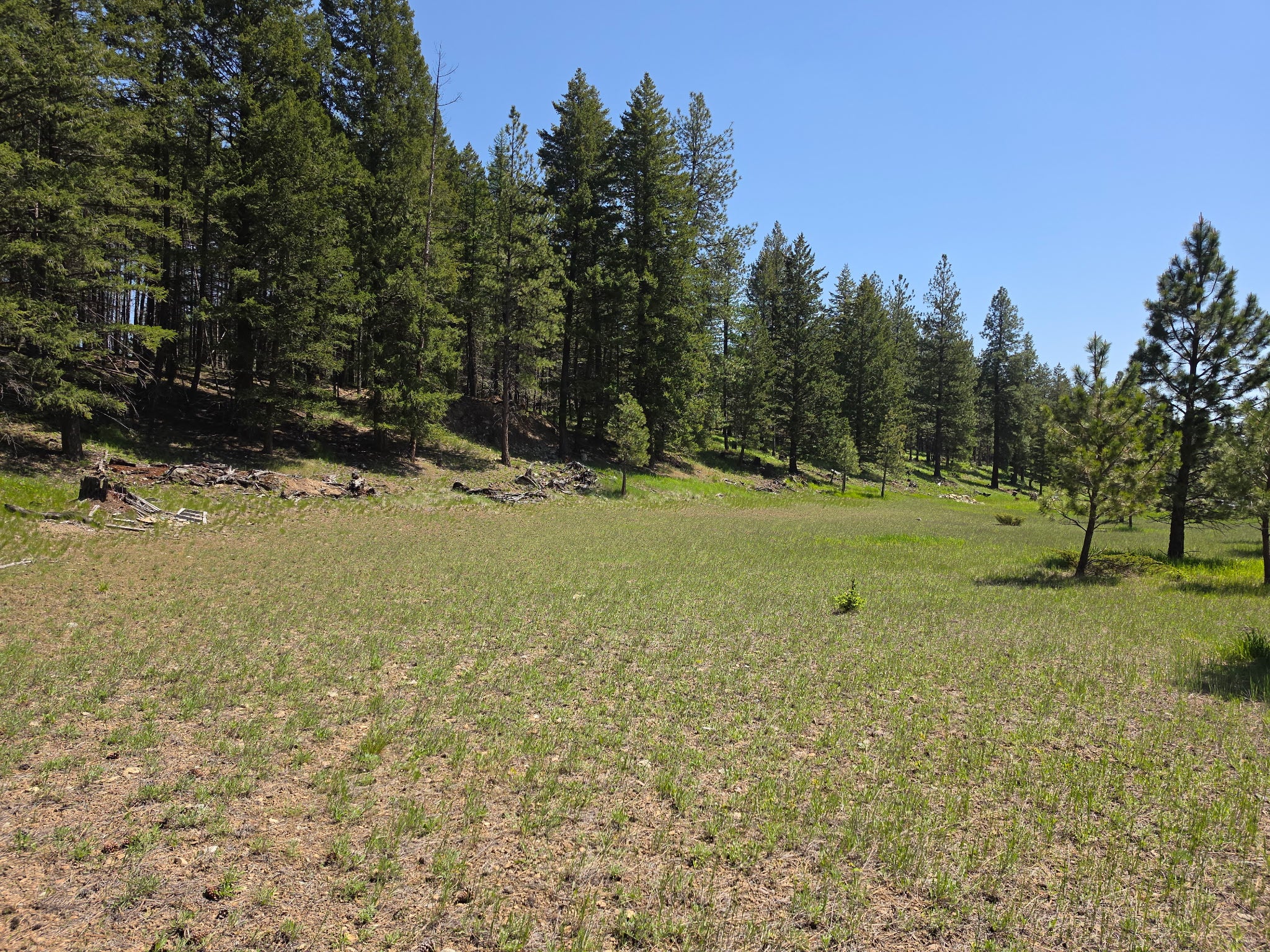 568 Bald Rock Road Kalispell, MT 59901 - Photo 31 of 37 Gallery Image 31