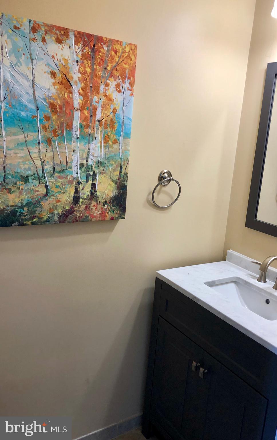 1803 Triple Feather Road, Unit 75 Severn, MD 21144 - Photo 8 of 15 Powder room off living room w/new vanity!